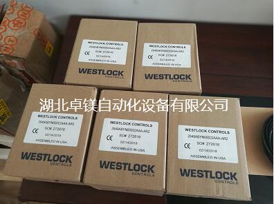 Westlock位置監(jiān)視器